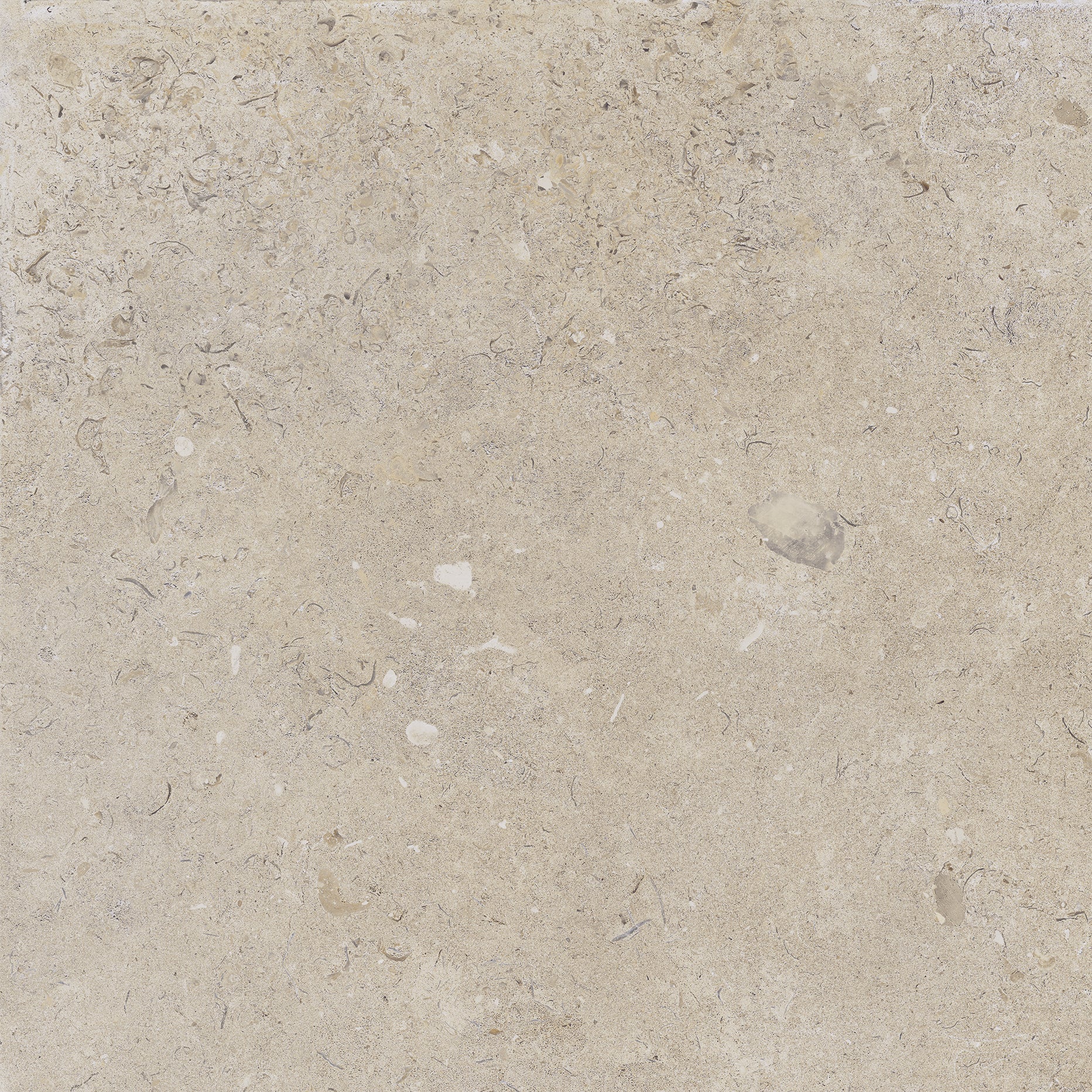Kalksten Klinker Beige Matt Rect. 60x60 CM Klinker