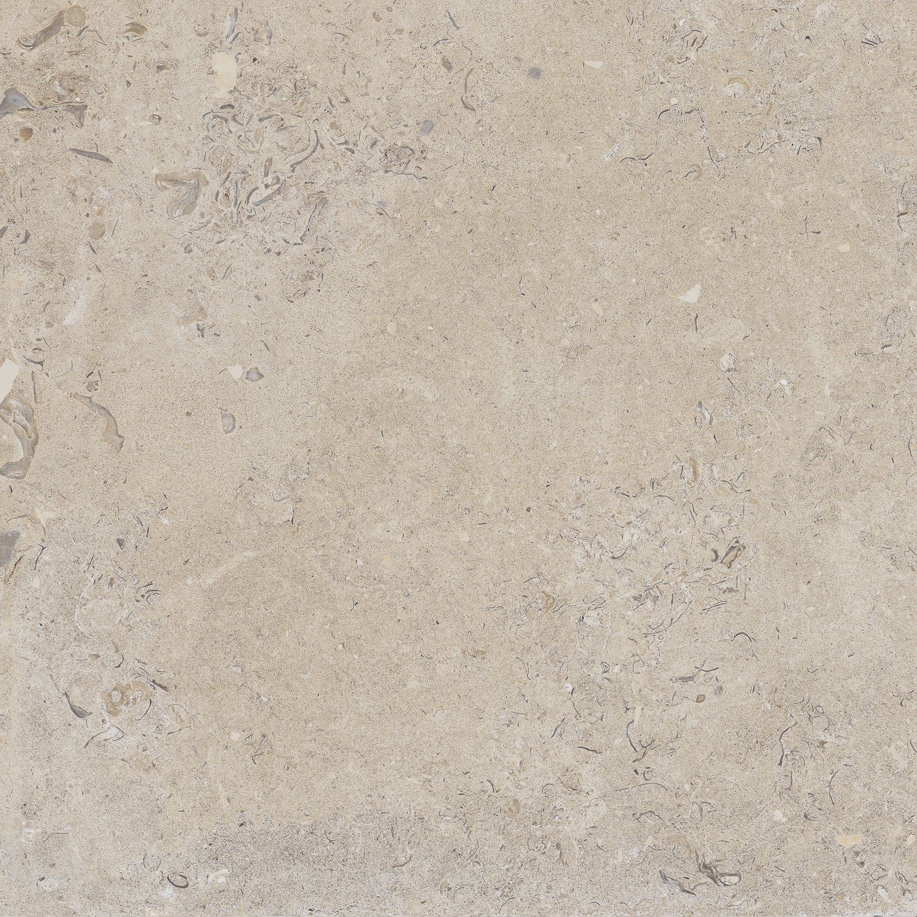Kalksten Klinker Beige Matt Rect. 60x60 CM Klinker